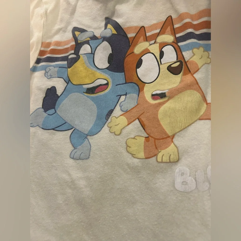 Toddler Boys Bluey Paw Patrol Clothing Lot Size 4T Playwear